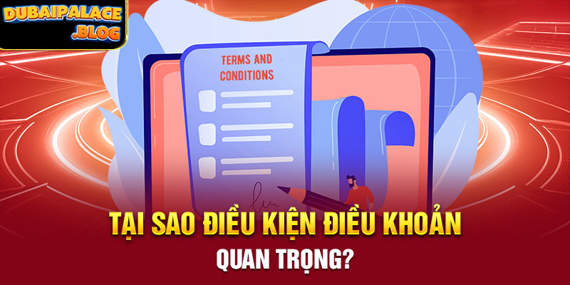 Tại sao điều kiện điều khoản quan trọng?